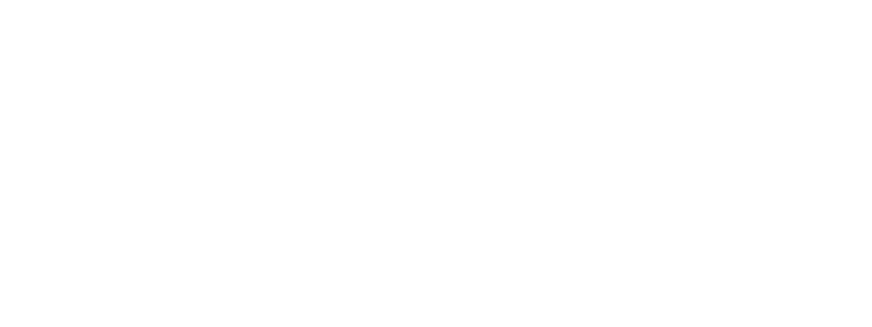 International Democratic Union