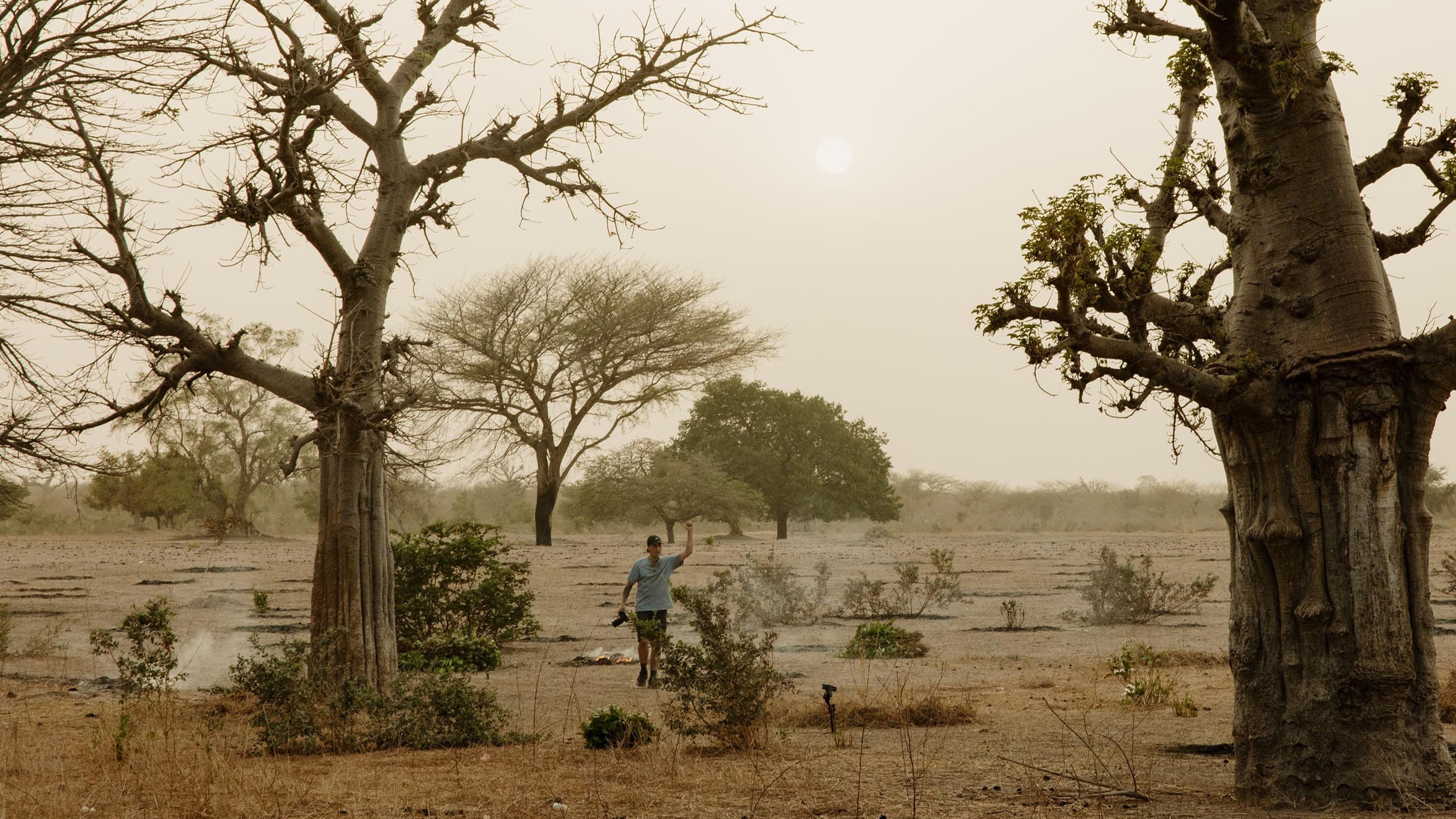Sam Morgan walking through a hazy, dust-filled landscape of baobab trees, camera in hand