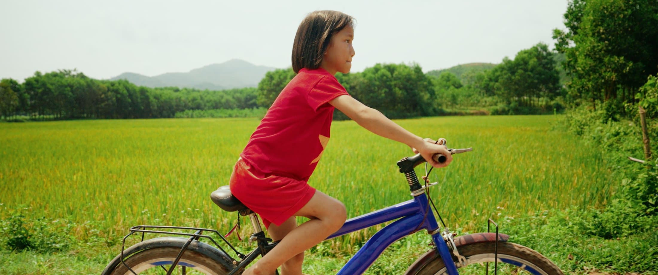 Girl cycling through a green rice field, Vietnam