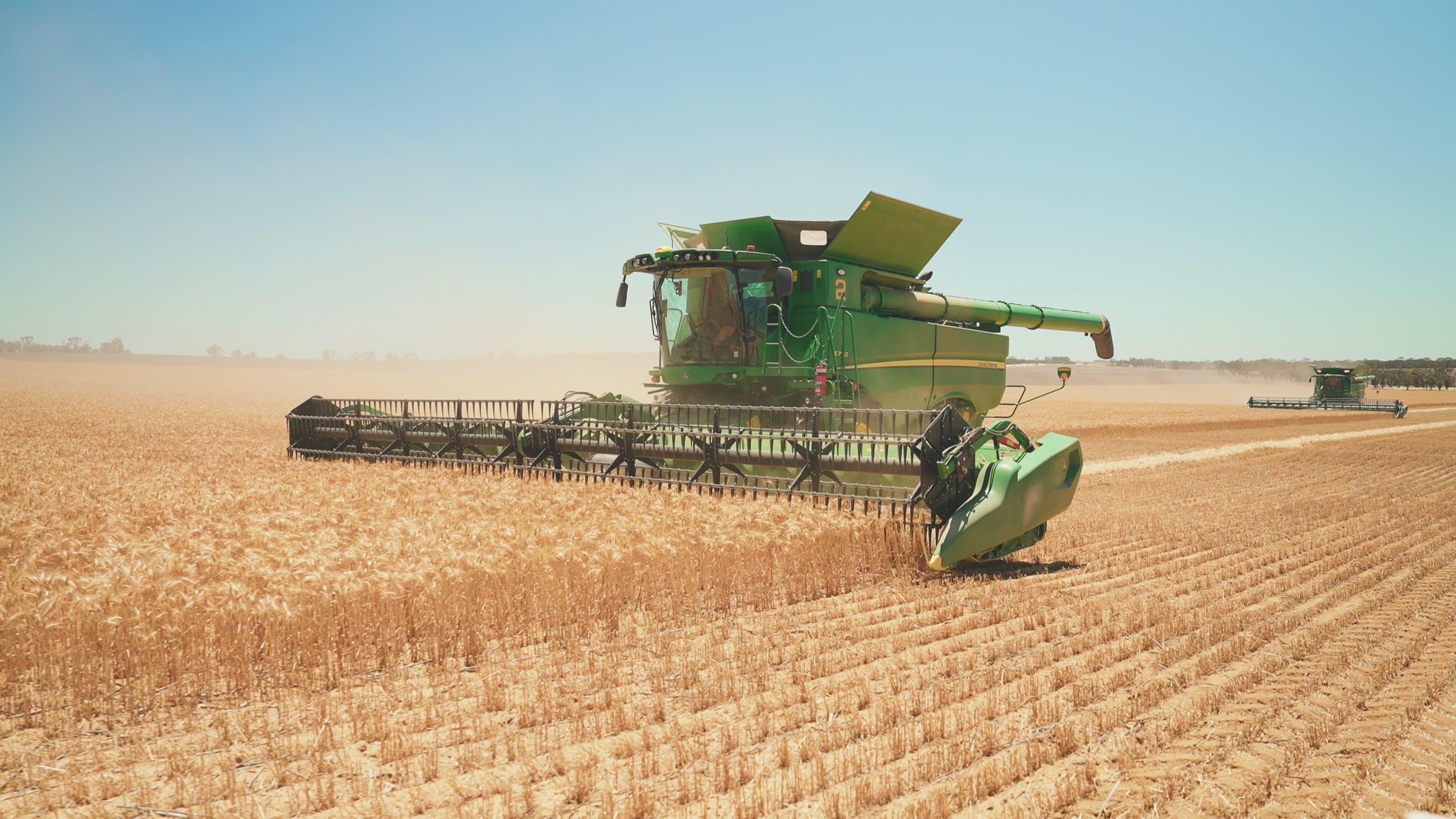 A combine harvester working a wheat field at harvest time