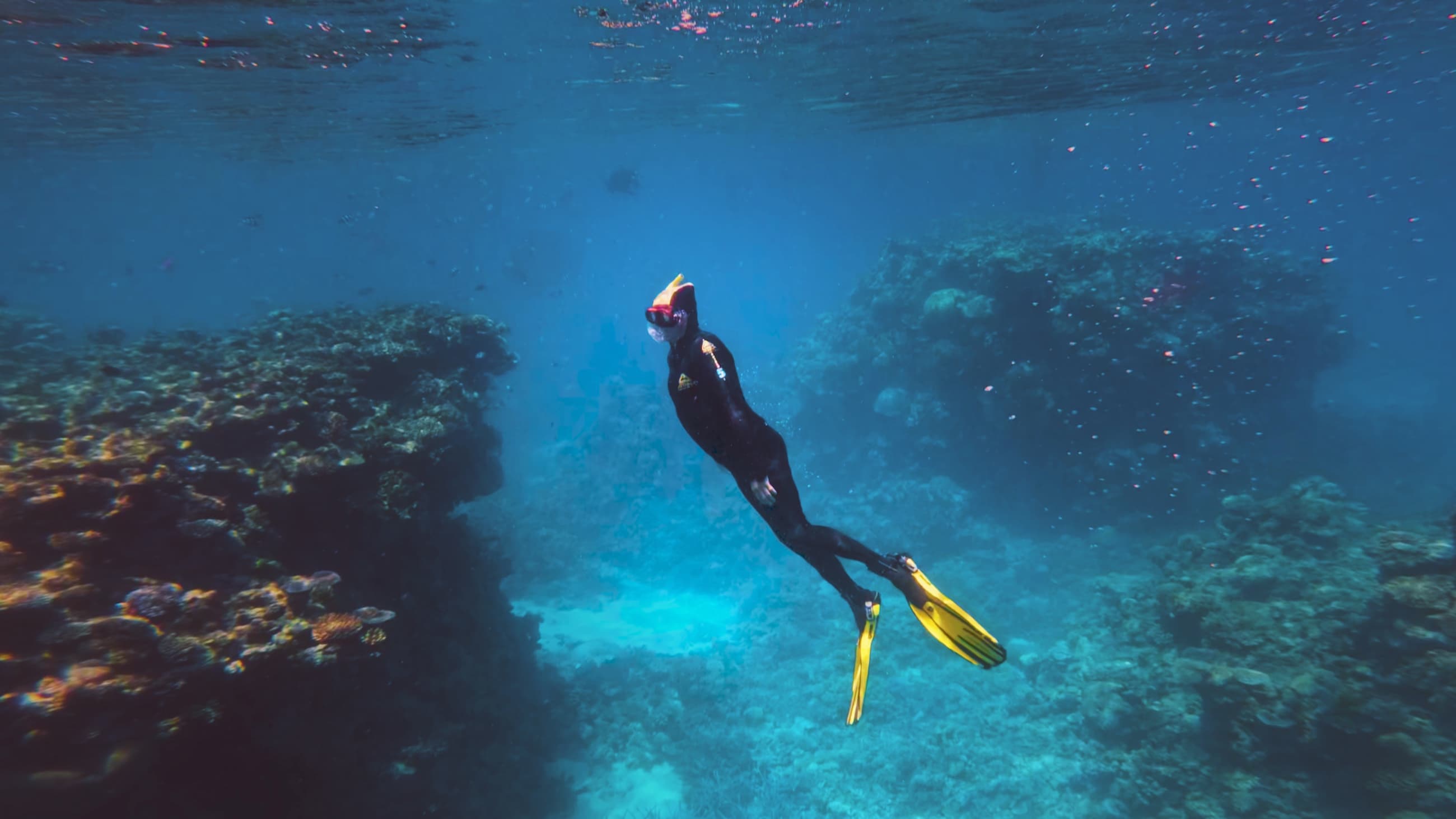 A diver descending into the Great Barrier Reef