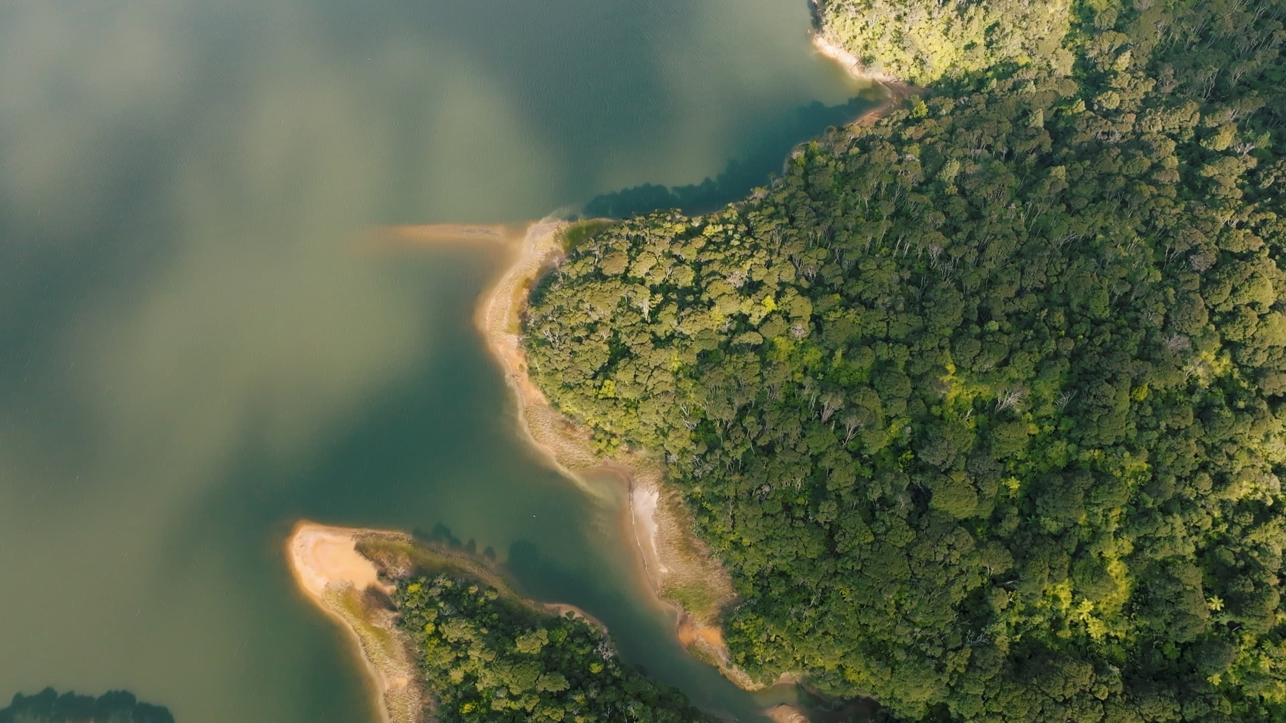 Aerial drone view of a forested coastline and river estuary
