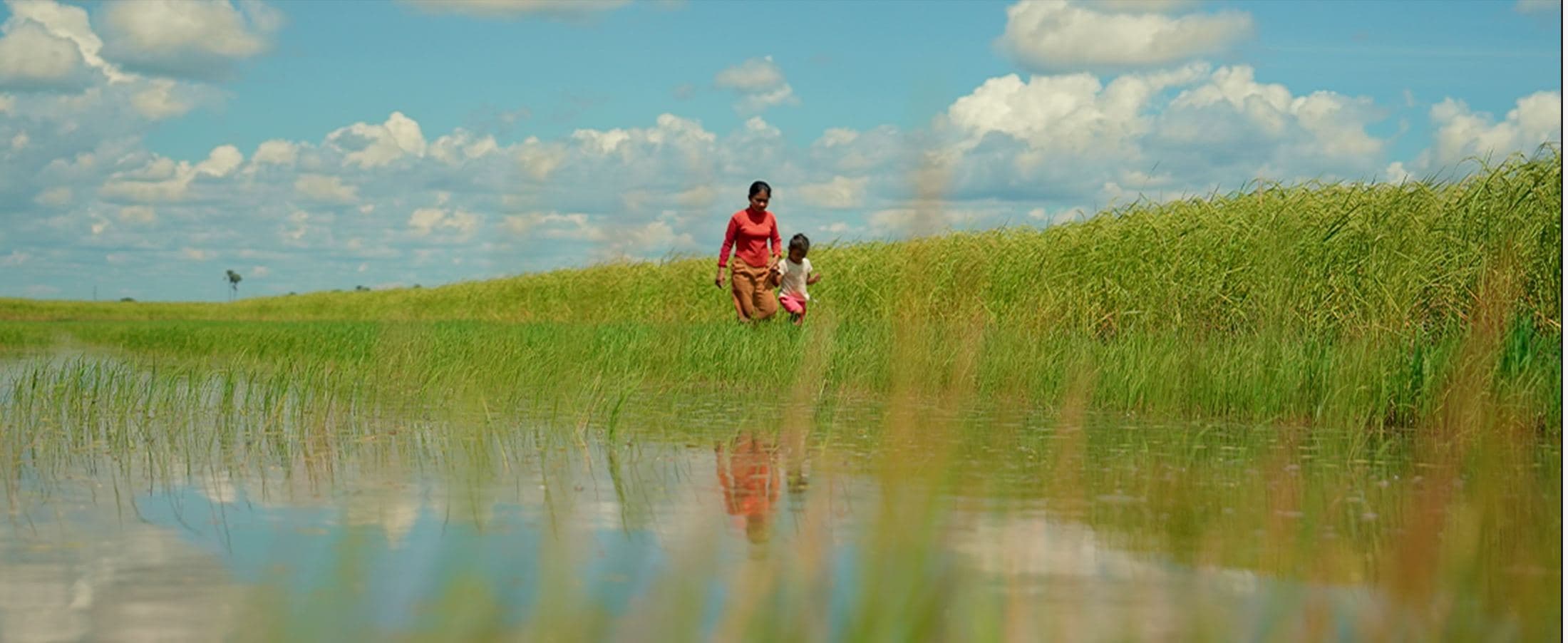 Mother and child in a flooded rice field, Cambodia