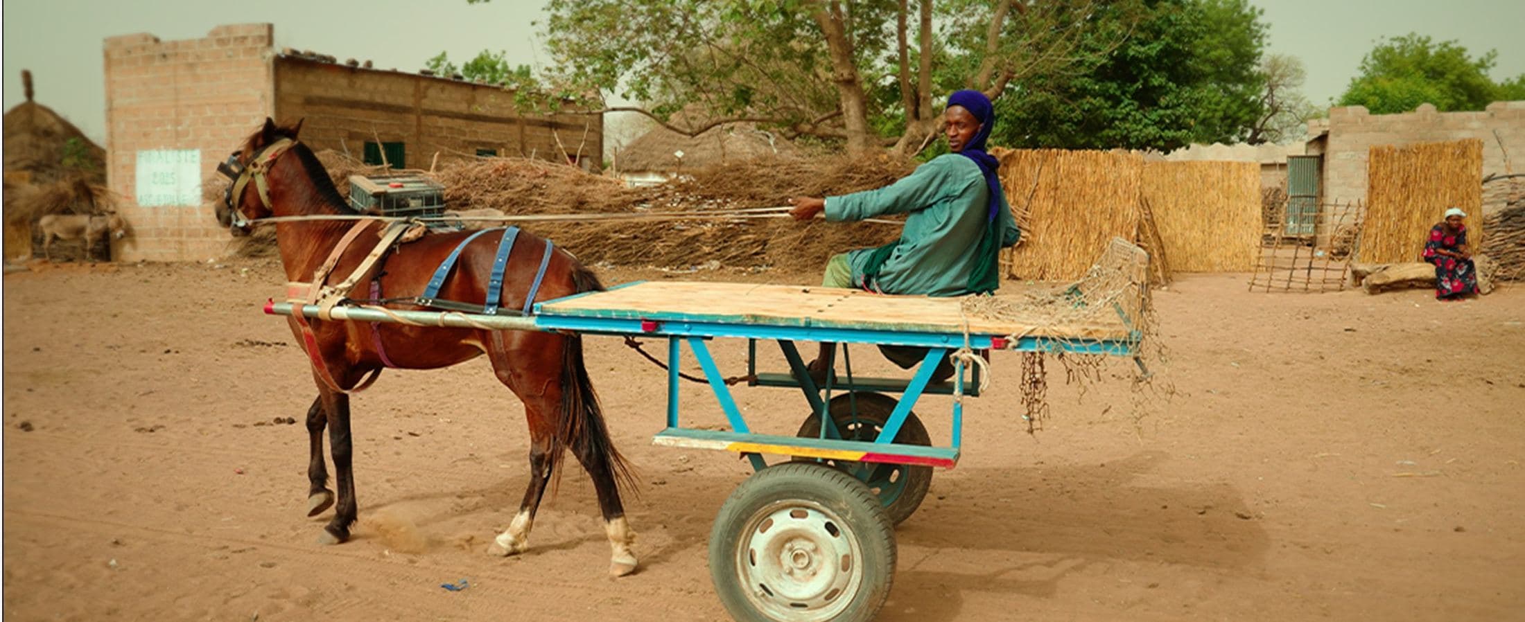 Horse and cart passing baobab trees, Senegal