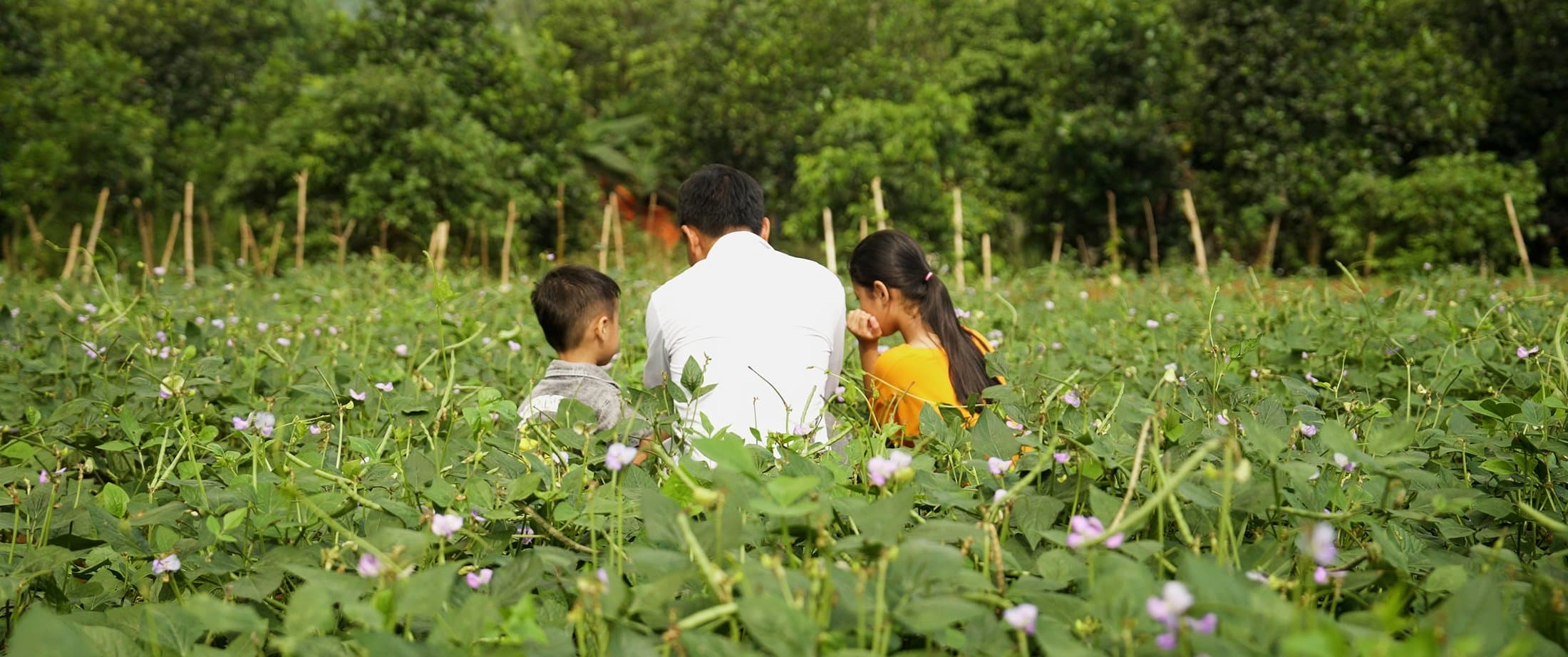 Family working together in a field, Vietnam